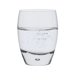 Eleanor Tumbler, Set Of 2 -Home Charm Store eleanor tu81905 tumbler liquid co 1