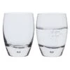 Eleanor Tumbler, Set Of 2 -Home Charm Store eleanor tu81905 tumbler pair co