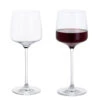 Elevate Wine Glass, Set Of 2 -Home Charm Store elevate wine pair