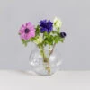 Florabundance Anemone Vase -Home Charm Store florabundance anemones square