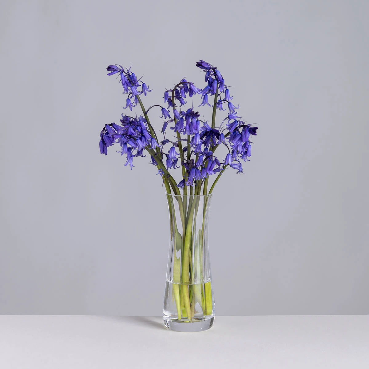 Florabundance Bluebell Vase 3 Florabundance Bluebell Vase