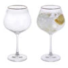 Gatsby Copa Gin & Tonic, Set Of 2 2 Gatsby Copa Gin & Tonic, Set Of 2 -Home Charm Store microsoftteams image 10