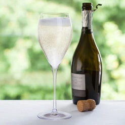 Just The One Prosecco -Home Charm Store prosecco 2