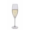Wine Master Flute Champagne Glass -Home Charm Store st1405 p single