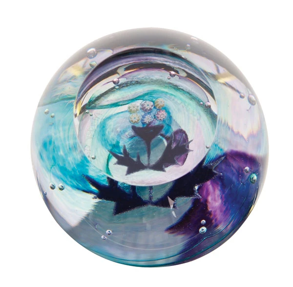 Mini Thistle 4 Mini Thistle - Image 2