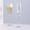 Wine Master Flute Champagne Glass, Set Of 2