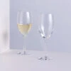 Wine Master White Wine Glass, Set Of 2 1 Wine Master White Wine Glass, Set Of 2 -Home Charm Store wine master white wine pair square
