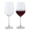 Wine & Bar Red Wine Glass, Set Of 2 -Home Charm Store wine bar red wine